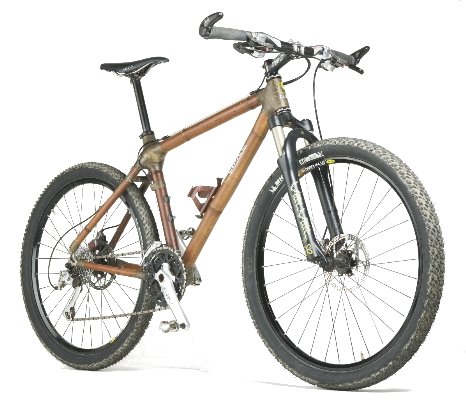 bamboo bike