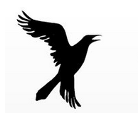 The Raven's Revenge