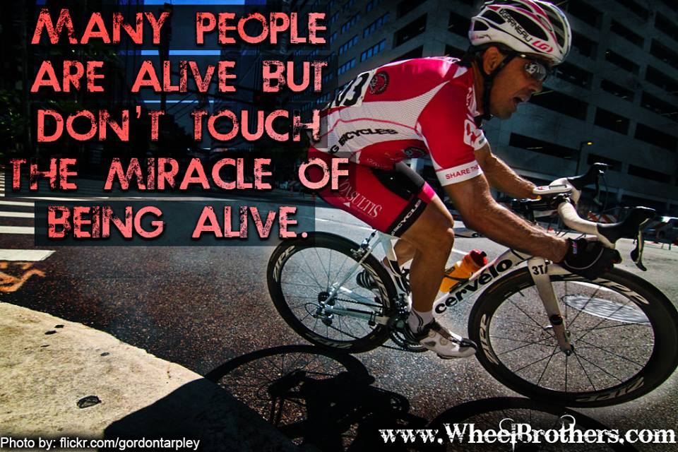 Many-people-are-alive-but-dont-touch-the-miracle-of-being-alive